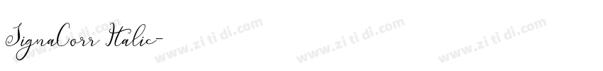 SignaCorr Italic字体转换